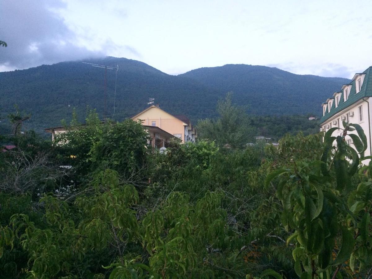 Guesthouse Mira Gagra Esterno foto