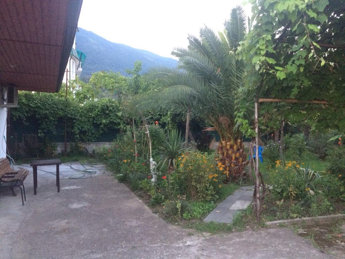 Guesthouse Mira Gagra Esterno foto
